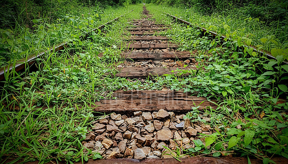 Memories fade like unused tracks—buried beneath the weight of years and wild growth.
