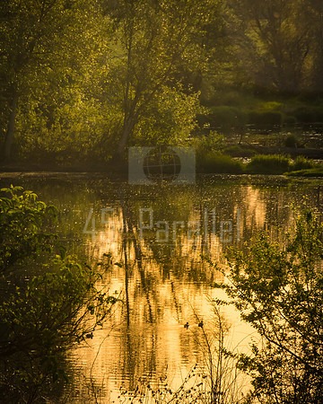 Serenity in the Countryside