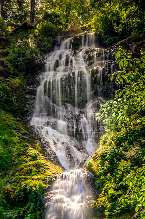 The beginning of a 319-foot drop: Munson Creek Falls