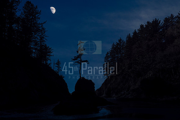Deadman's Cove, Low Tide