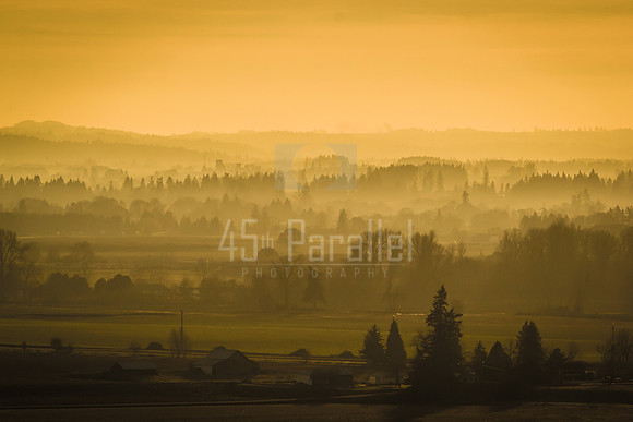 The end of a winter's day in the Willamette Valley