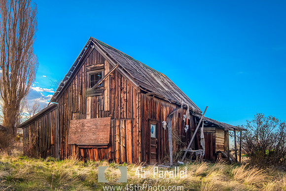 Skull House