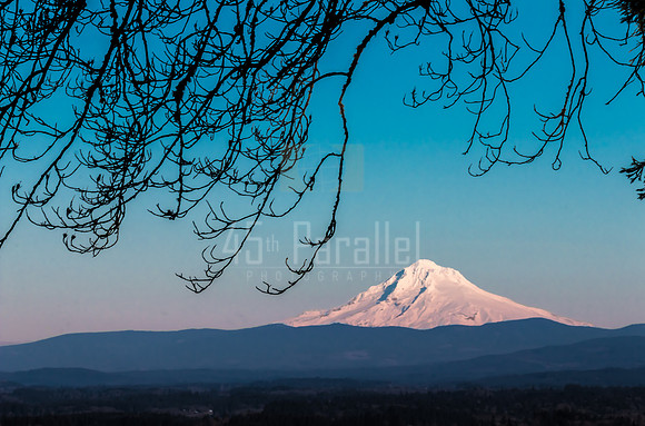 A Crisp, Clear Winter's Day