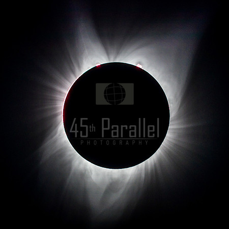 Corona and Prominences -- Total Eclipse August 21, 2017