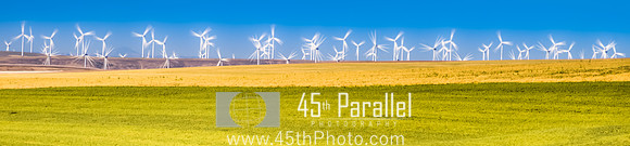 Wind Farm on the Palouse