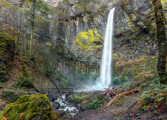 Elowah Falls from the West Canyon Wall