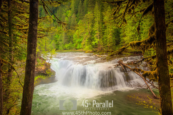 Lower Lewis River Falls