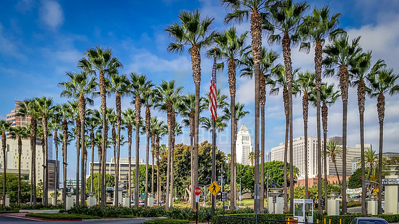 A Classic View of Los Angeles