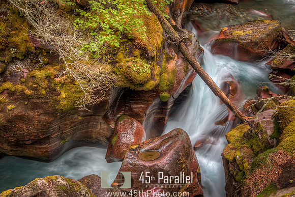 Avalanche Creek