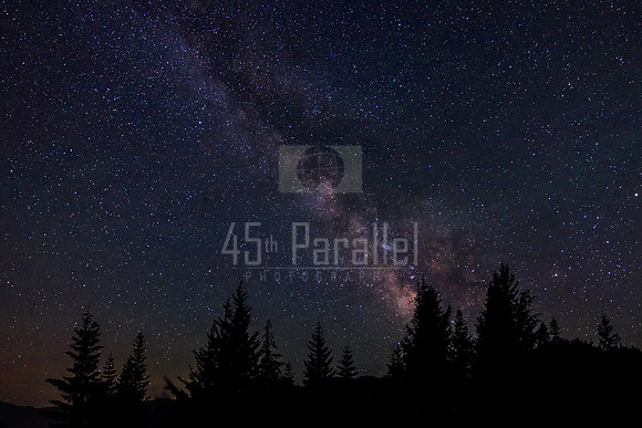 A Galaxy and Trees