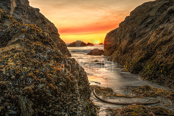 Between the Sea Stacks