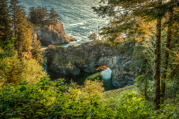 Natural Bridges Cove at Samuel Boardman State Park