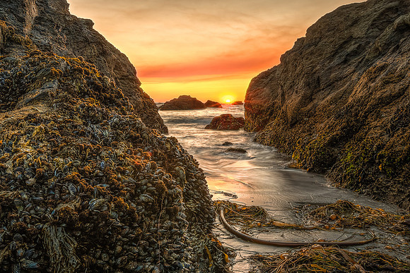 Between the Sea Stacks