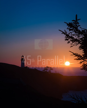 Sunset Silhouettes
