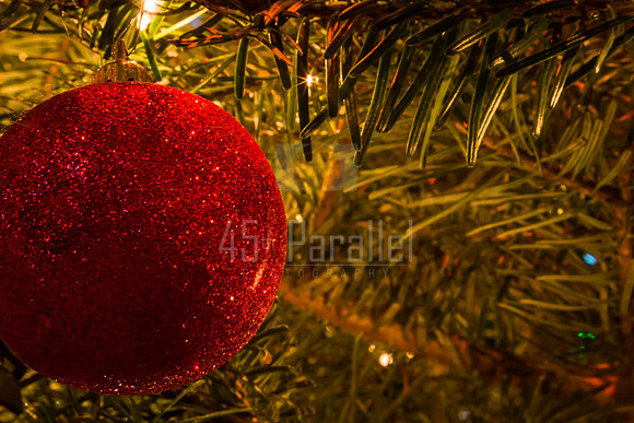 Christmas Card Blank