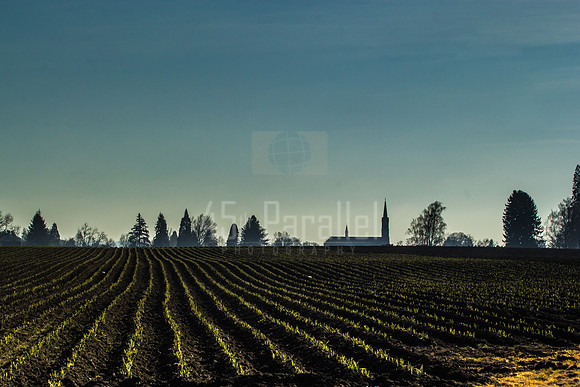 Wide is the field, narrow is the furrow