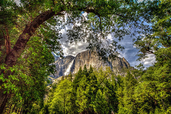 Upper Yosemite Falls, nicely framed by the trees