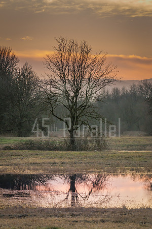 A Time to Reflect