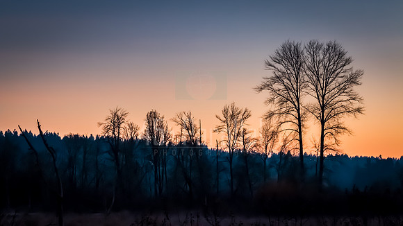 Dawn Breaks Over Nisqually