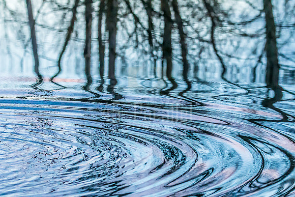 Disrupted Reflection