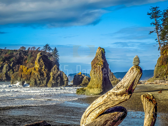 See the stacks at Ruby Beach
