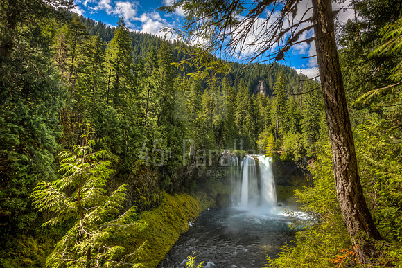 Koosah Falls