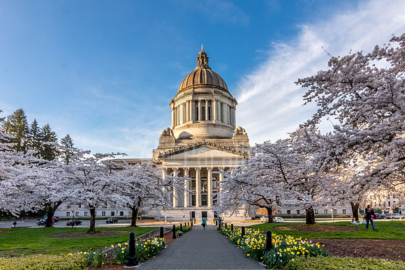 A beautiful Spring day st that State Capitol Building in Olympia