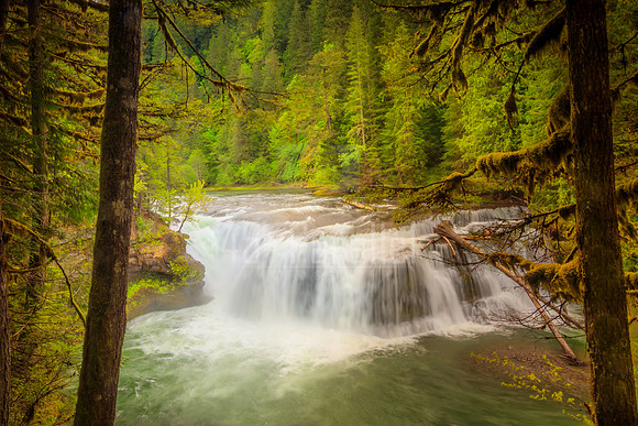 Lower Lewis River Falls