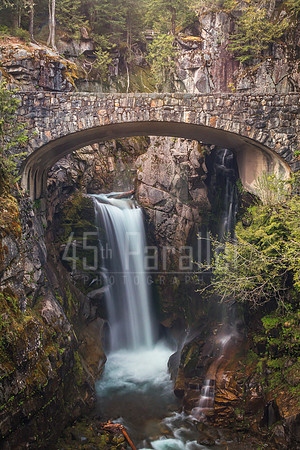 Christine Falls