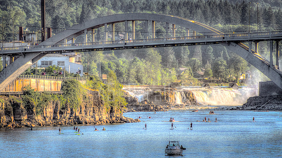 Paddle Boarders Rush in Where Salmon Fear to Swim