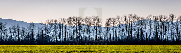 Dividing Line