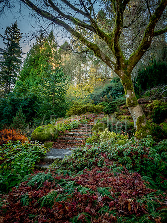 Garden Path