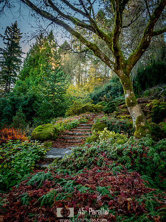 Garden Path