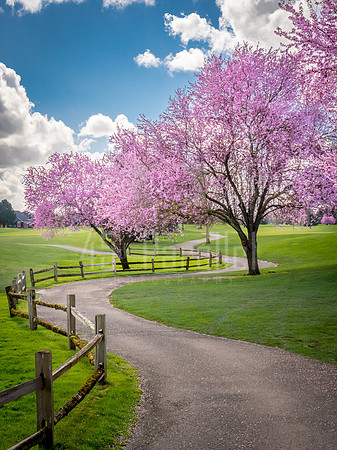 Whichever meandering path you find yourself on, make sure it is one of beauty.