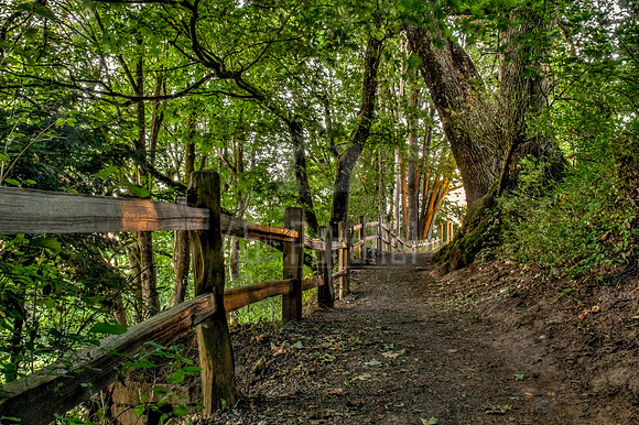 Up the Down Trail