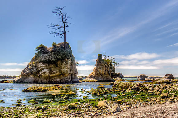 Low Tide at Tillamook Bay