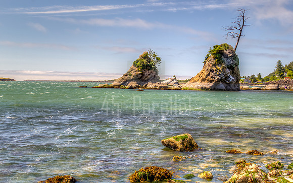 Two of the Three Graces of Tillamook Bay