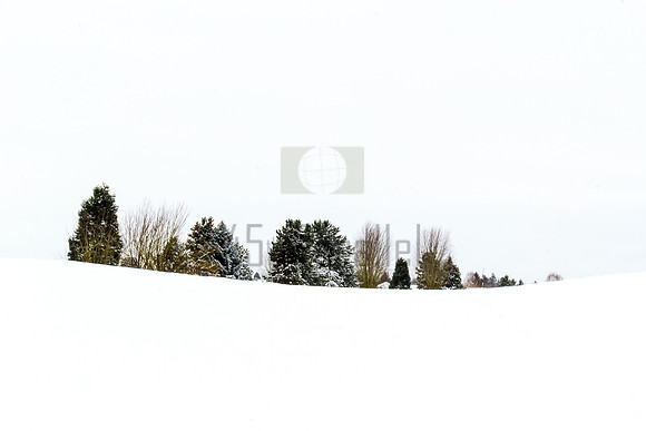 White Slope
