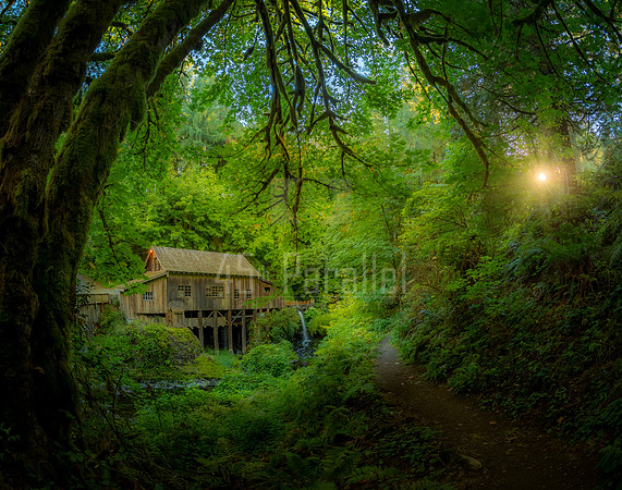 An early morning visit to Cedar Creek Grist Mill