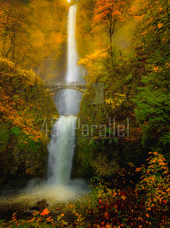 Imagine the waterfall of your dreams. Now place a bridge across it. What do you see?