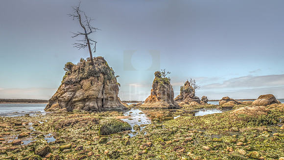 Low tide at "The Three Graces" on Tillamook Bay