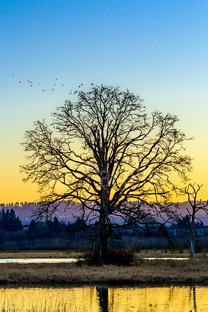 Evening Shelter