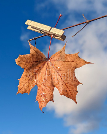 We're doing our best to hold onto Fall.