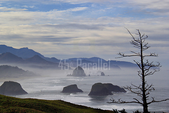 Ecola State Park View 2