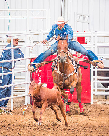 Cowboy Up!