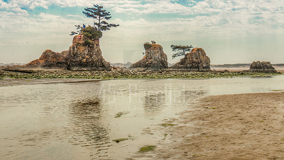 The "Four Brothers" of Siletz Bay, Oregon