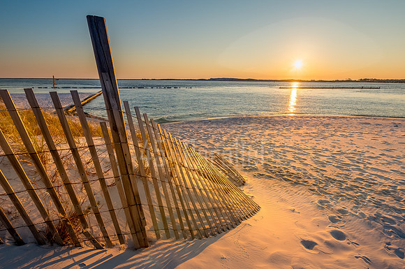 The sand dumes, sea oats, and fences of Norriego Point