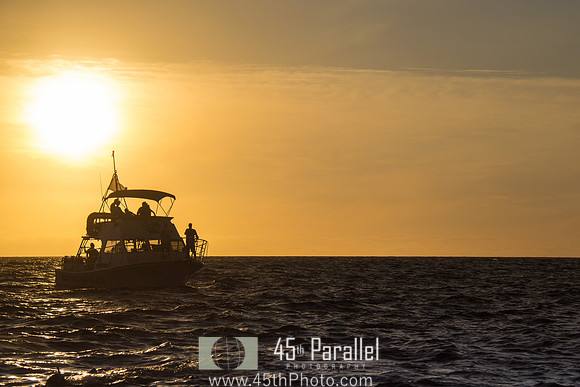 Dive Boat