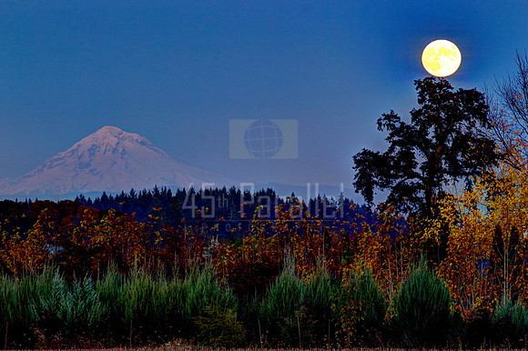 Hunter's Moon