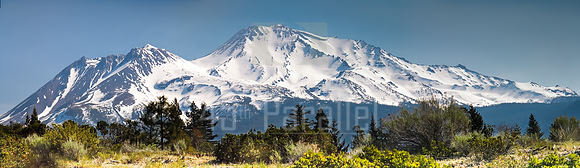 Mount Shasta